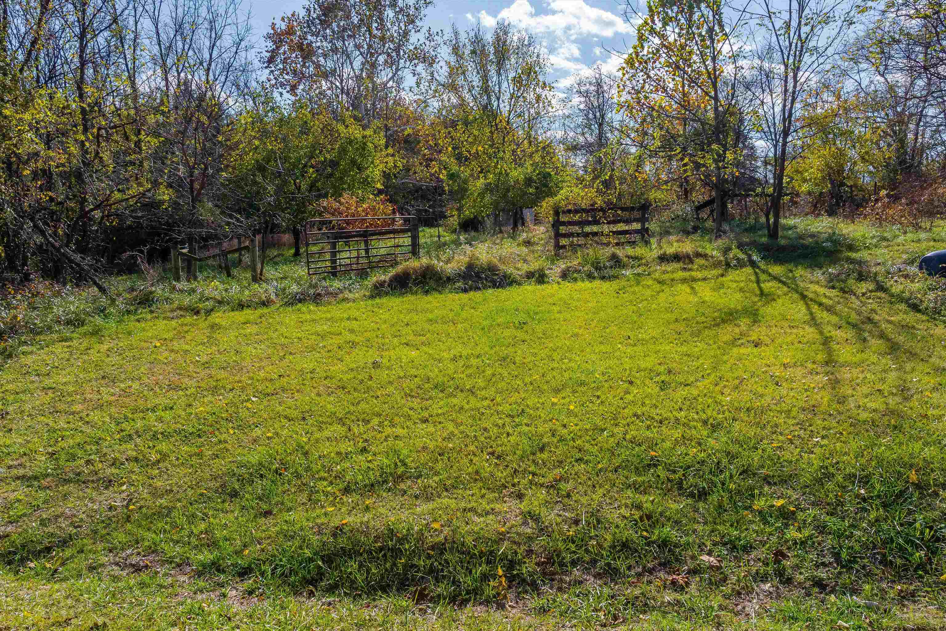 326 & 328 RUNNING PINE RD, LURAY, Virginia 22835, ,Residential,14,326 & 328 RUNNING PINE RD,677880 MLS # 677880 326 & 328 RUNNING PINE RD, LURAY, Virginia 22835, ,Residential,14,326 & 328 RUNNING PINE RD,677880 MLS # 677880