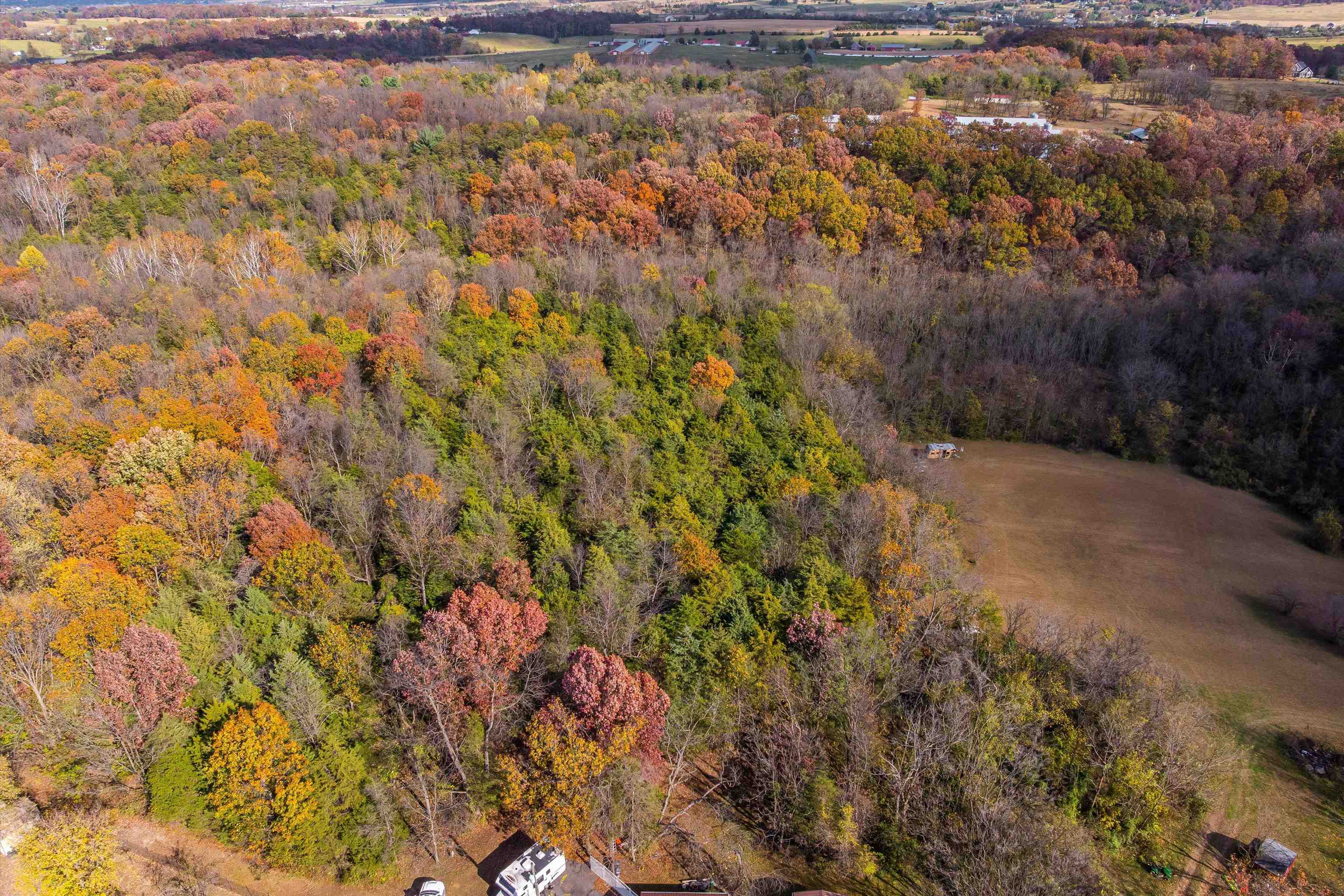 326 & 328 RUNNING PINE RD, LURAY, Virginia 22835, ,Residential,14,326 & 328 RUNNING PINE RD,677880 MLS # 677880 326 & 328 RUNNING PINE RD, LURAY, Virginia 22835, ,Residential,14,326 & 328 RUNNING PINE RD,677880 MLS # 677880