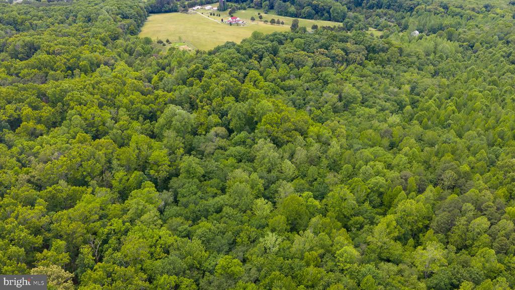 12501 W CATHARPIN RD, SPOTSYLVANIA, Virginia 22551, 4 Bedrooms Bedrooms, ,3 BathroomsBathrooms,Residential,14,12501 W CATHARPIN RD,VASP2042524 MLS # VASP2042524 12501 W CATHARPIN RD, SPOTSYLVANIA, Virginia 22551, 4 Bedrooms Bedrooms, ,3 BathroomsBathrooms,Residential,14,12501 W CATHARPIN RD,VASP2042524 MLS # VASP2042524