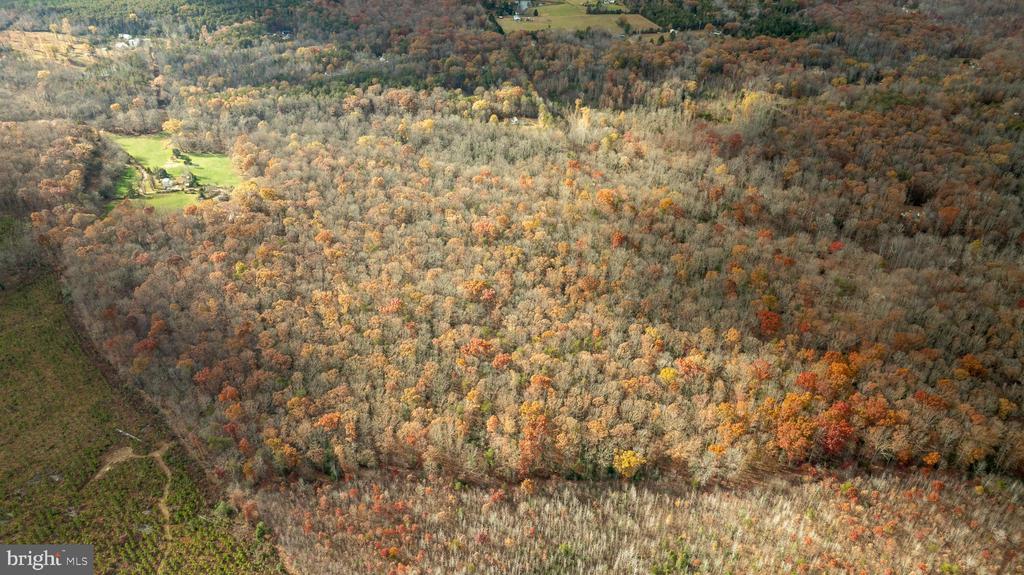 14100 CEDAR PLANTATION RD, SPOTSYLVANIA, Virginia 22551, ,Land,14,14100 CEDAR PLANTATION RD,VASP2037550 MLS # VASP2037550