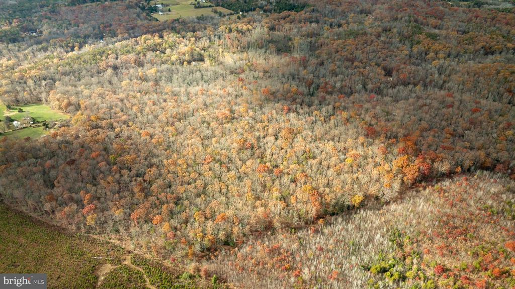 14100 CEDAR PLANTATION RD, SPOTSYLVANIA, Virginia 22551, ,Land,14,14100 CEDAR PLANTATION RD,VASP2037550 MLS # VASP2037550