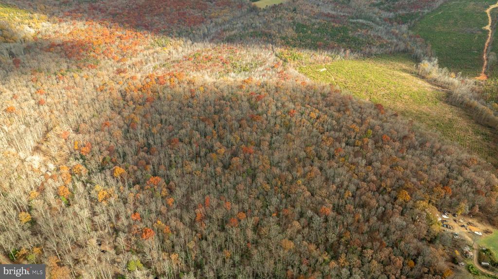 14100 CEDAR PLANTATION RD, SPOTSYLVANIA, Virginia 22551, ,Land,14,14100 CEDAR PLANTATION RD,VASP2037550 MLS # VASP2037550