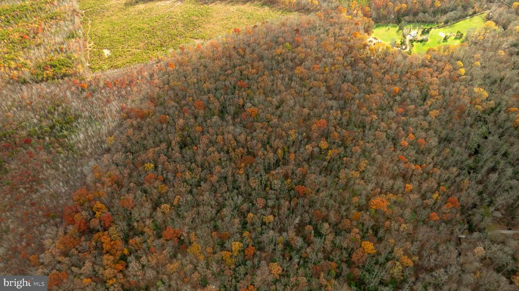 14100 CEDAR PLANTATION RD, SPOTSYLVANIA, Virginia 22551, ,Land,14,14100 CEDAR PLANTATION RD,VASP2037550 MLS # VASP2037550