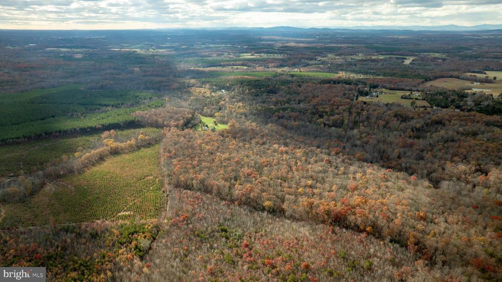 14100 CEDAR PLANTATION RD, SPOTSYLVANIA, Virginia 22551, ,Land,14,14100 CEDAR PLANTATION RD,VASP2037550 MLS # VASP2037550