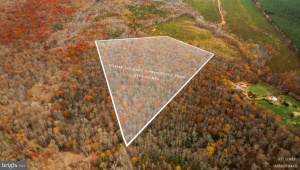 14100 CEDAR PLANTATION RD, SPOTSYLVANIA, Virginia 22551, ,Land,14,14100 CEDAR PLANTATION RD,VASP2037550 MLS # VASP2037550