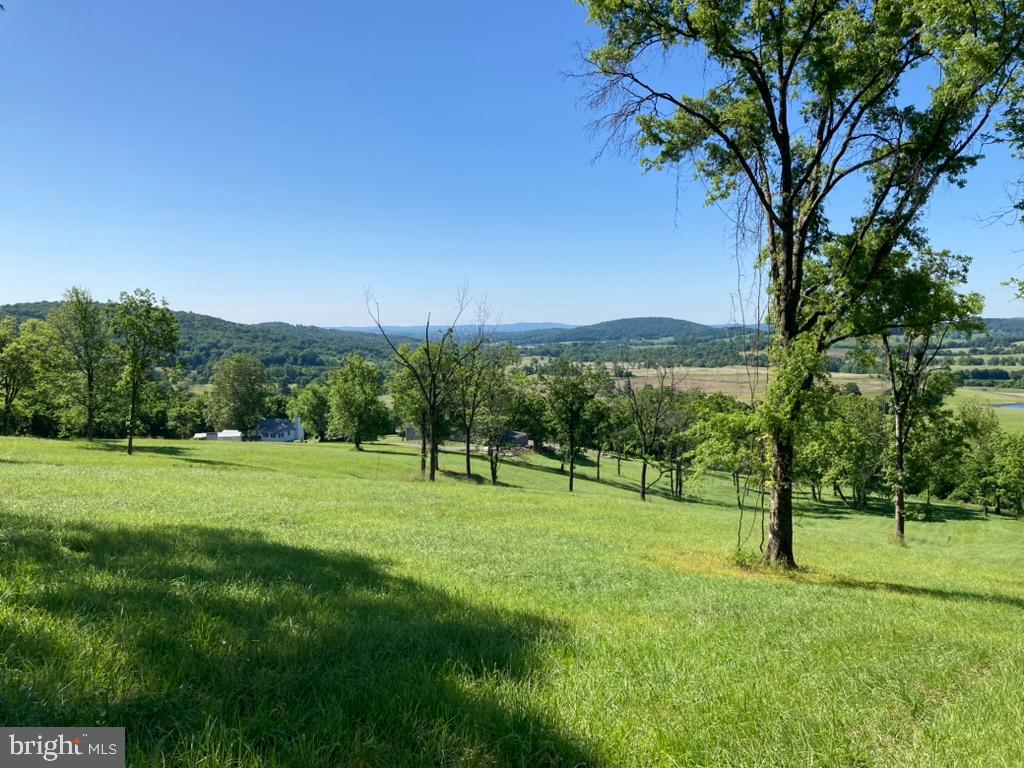 10436 JOHN S MOSBY HWY, PARIS, Virginia 20130, 3 Bedrooms Bedrooms, ,2 BathroomsBathrooms,Residential,14,10436 JOHN S MOSBY HWY,VAFQ2022300 MLS # VAFQ2022300 10436 JOHN S MOSBY HWY, PARIS, Virginia 20130, 3 Bedrooms Bedrooms, ,2 BathroomsBathrooms,Residential,14,10436 JOHN S MOSBY HWY,VAFQ2022300 MLS # VAFQ2022300