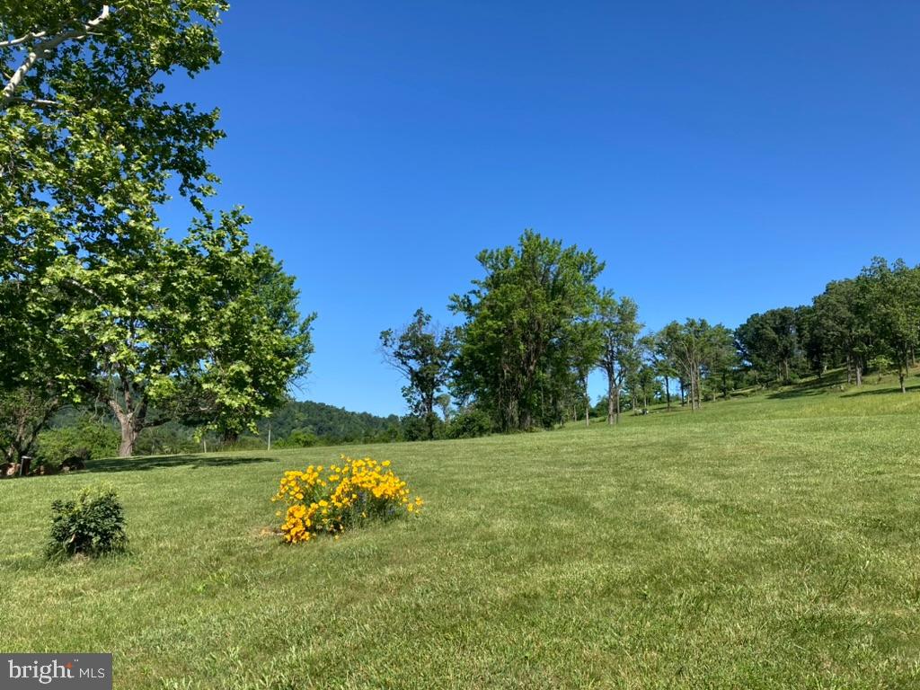 10436 JOHN S MOSBY HWY, PARIS, Virginia 20130, 3 Bedrooms Bedrooms, ,2 BathroomsBathrooms,Residential,14,10436 JOHN S MOSBY HWY,VAFQ2022300 MLS # VAFQ2022300 10436 JOHN S MOSBY HWY, PARIS, Virginia 20130, 3 Bedrooms Bedrooms, ,2 BathroomsBathrooms,Residential,14,10436 JOHN S MOSBY HWY,VAFQ2022300 MLS # VAFQ2022300