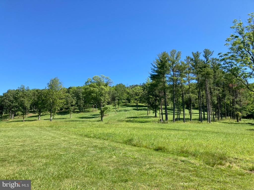10436 JOHN S MOSBY HWY, PARIS, Virginia 20130, 3 Bedrooms Bedrooms, ,2 BathroomsBathrooms,Residential,14,10436 JOHN S MOSBY HWY,VAFQ2022300 MLS # VAFQ2022300 10436 JOHN S MOSBY HWY, PARIS, Virginia 20130, 3 Bedrooms Bedrooms, ,2 BathroomsBathrooms,Residential,14,10436 JOHN S MOSBY HWY,VAFQ2022300 MLS # VAFQ2022300