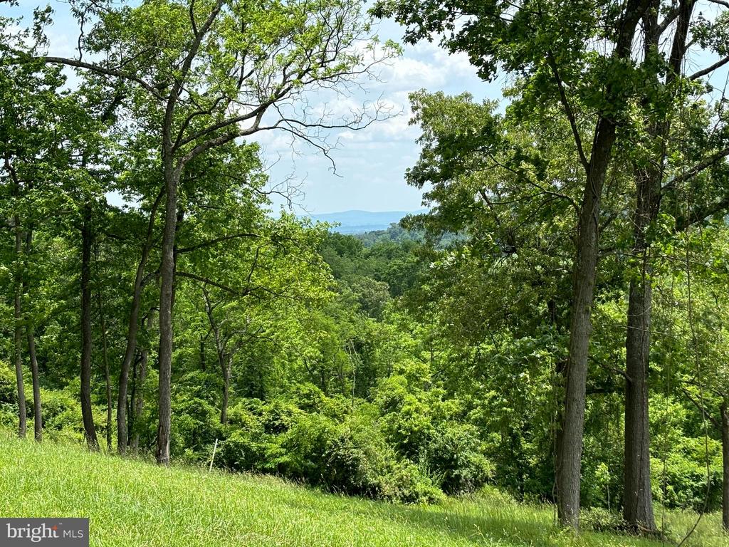 10436 JOHN S MOSBY HWY, PARIS, Virginia 20130, 3 Bedrooms Bedrooms, ,2 BathroomsBathrooms,Residential,14,10436 JOHN S MOSBY HWY,VAFQ2022300 MLS # VAFQ2022300 10436 JOHN S MOSBY HWY, PARIS, Virginia 20130, 3 Bedrooms Bedrooms, ,2 BathroomsBathrooms,Residential,14,10436 JOHN S MOSBY HWY,VAFQ2022300 MLS # VAFQ2022300