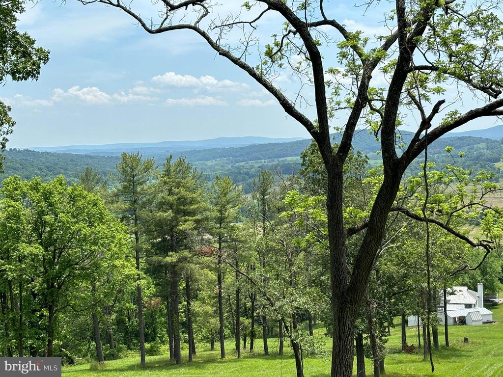 10436 JOHN S MOSBY HWY, PARIS, Virginia 20130, 3 Bedrooms Bedrooms, ,2 BathroomsBathrooms,Residential,14,10436 JOHN S MOSBY HWY,VAFQ2022300 MLS # VAFQ2022300 10436 JOHN S MOSBY HWY, PARIS, Virginia 20130, 3 Bedrooms Bedrooms, ,2 BathroomsBathrooms,Residential,14,10436 JOHN S MOSBY HWY,VAFQ2022300 MLS # VAFQ2022300