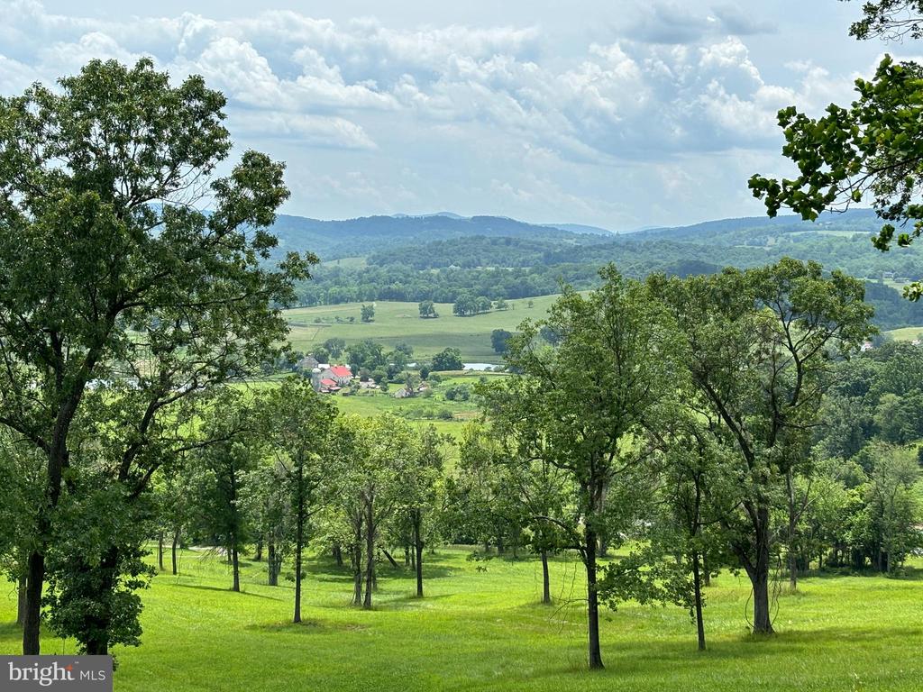 10436 JOHN S MOSBY HWY, PARIS, Virginia 20130, 3 Bedrooms Bedrooms, ,2 BathroomsBathrooms,Residential,14,10436 JOHN S MOSBY HWY,VAFQ2022300 MLS # VAFQ2022300 10436 JOHN S MOSBY HWY, PARIS, Virginia 20130, 3 Bedrooms Bedrooms, ,2 BathroomsBathrooms,Residential,14,10436 JOHN S MOSBY HWY,VAFQ2022300 MLS # VAFQ2022300