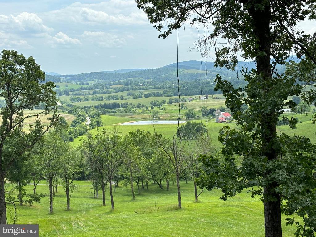 10436 JOHN S MOSBY HWY, PARIS, Virginia 20130, 3 Bedrooms Bedrooms, ,2 BathroomsBathrooms,Residential,14,10436 JOHN S MOSBY HWY,VAFQ2022300 MLS # VAFQ2022300 10436 JOHN S MOSBY HWY, PARIS, Virginia 20130, 3 Bedrooms Bedrooms, ,2 BathroomsBathrooms,Residential,14,10436 JOHN S MOSBY HWY,VAFQ2022300 MLS # VAFQ2022300
