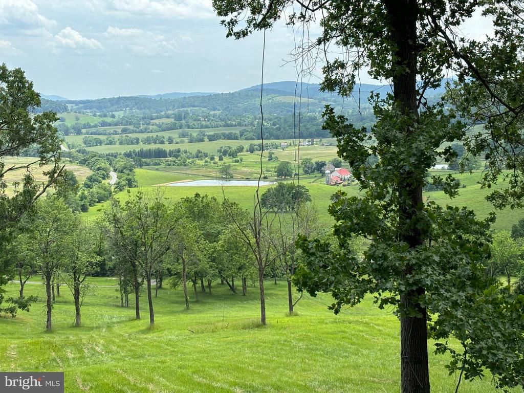 10436 JOHN S MOSBY HWY, PARIS, Virginia 20130, 3 Bedrooms Bedrooms, ,2 BathroomsBathrooms,Residential,14,10436 JOHN S MOSBY HWY,VAFQ2022300 MLS # VAFQ2022300 10436 JOHN S MOSBY HWY, PARIS, Virginia 20130, 3 Bedrooms Bedrooms, ,2 BathroomsBathrooms,Residential,14,10436 JOHN S MOSBY HWY,VAFQ2022300 MLS # VAFQ2022300