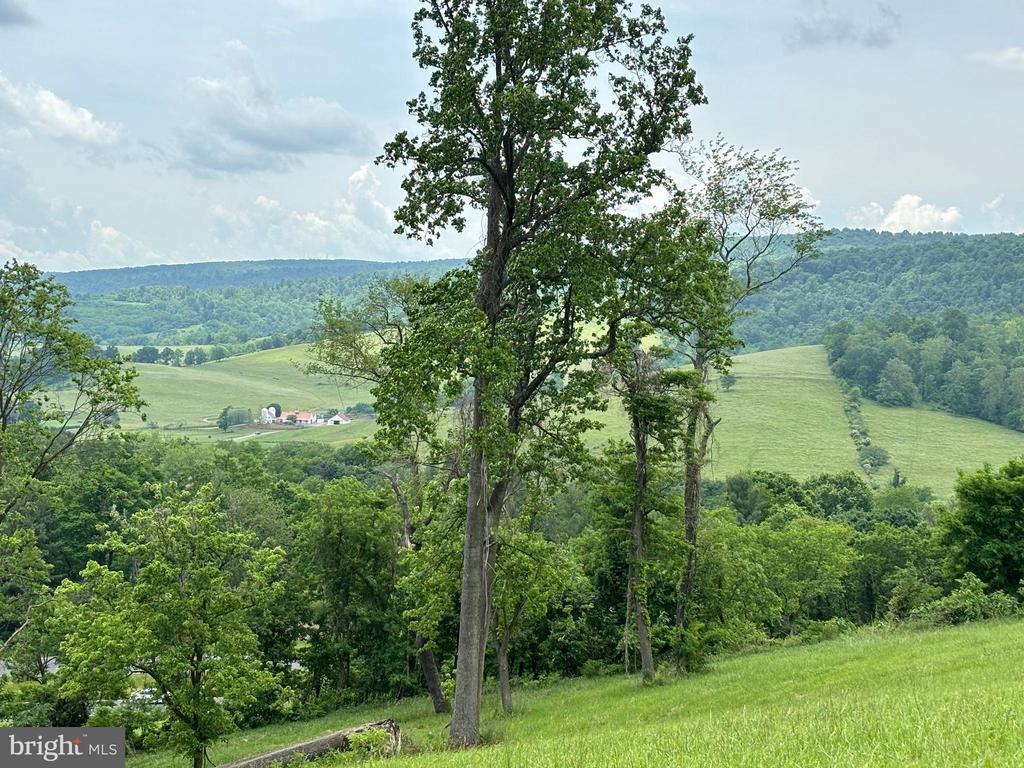 10436 JOHN S MOSBY HWY, PARIS, Virginia 20130, 3 Bedrooms Bedrooms, ,2 BathroomsBathrooms,Residential,14,10436 JOHN S MOSBY HWY,VAFQ2022300 MLS # VAFQ2022300 10436 JOHN S MOSBY HWY, PARIS, Virginia 20130, 3 Bedrooms Bedrooms, ,2 BathroomsBathrooms,Residential,14,10436 JOHN S MOSBY HWY,VAFQ2022300 MLS # VAFQ2022300