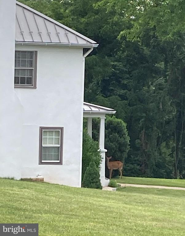 10436 JOHN S MOSBY HWY, PARIS, Virginia 20130, 3 Bedrooms Bedrooms, ,2 BathroomsBathrooms,Residential,14,10436 JOHN S MOSBY HWY,VAFQ2022300 MLS # VAFQ2022300 10436 JOHN S MOSBY HWY, PARIS, Virginia 20130, 3 Bedrooms Bedrooms, ,2 BathroomsBathrooms,Residential,14,10436 JOHN S MOSBY HWY,VAFQ2022300 MLS # VAFQ2022300