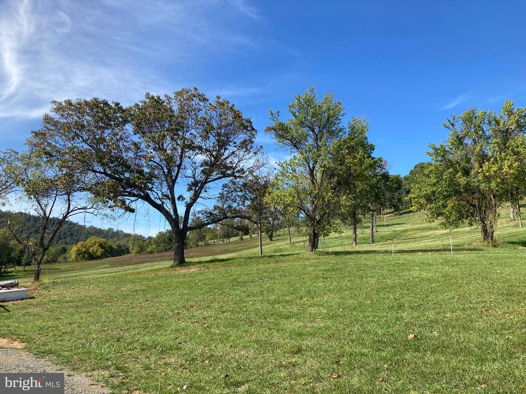 10436 JOHN S MOSBY HWY, PARIS, Virginia 20130, 3 Bedrooms Bedrooms, ,2 BathroomsBathrooms,Residential,14,10436 JOHN S MOSBY HWY,VAFQ2022300 MLS # VAFQ2022300 10436 JOHN S MOSBY HWY, PARIS, Virginia 20130, 3 Bedrooms Bedrooms, ,2 BathroomsBathrooms,Residential,14,10436 JOHN S MOSBY HWY,VAFQ2022300 MLS # VAFQ2022300
