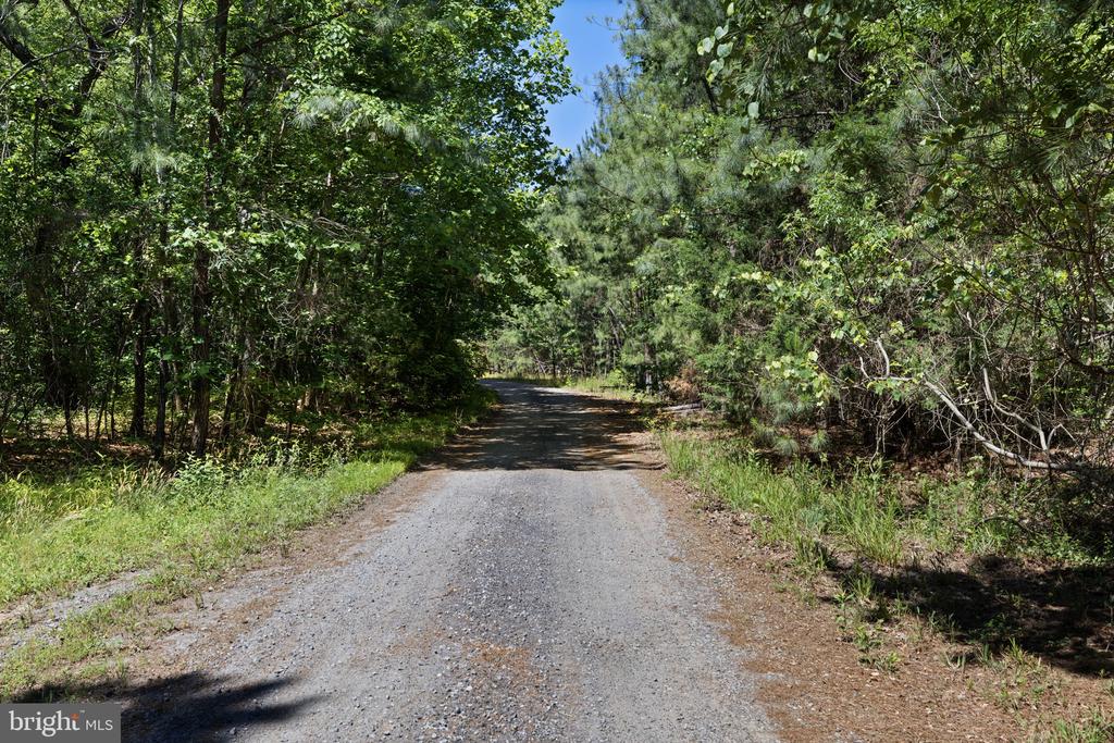 DEERWOOD LN, SPOTSYLVANIA, Virginia 22553, ,Farm,14,DEERWOOD LN,VASP2042656 MLS # VASP2042656 DEERWOOD LN, SPOTSYLVANIA, Virginia 22553, ,Farm,14,DEERWOOD LN,VASP2042656 MLS # VASP2042656