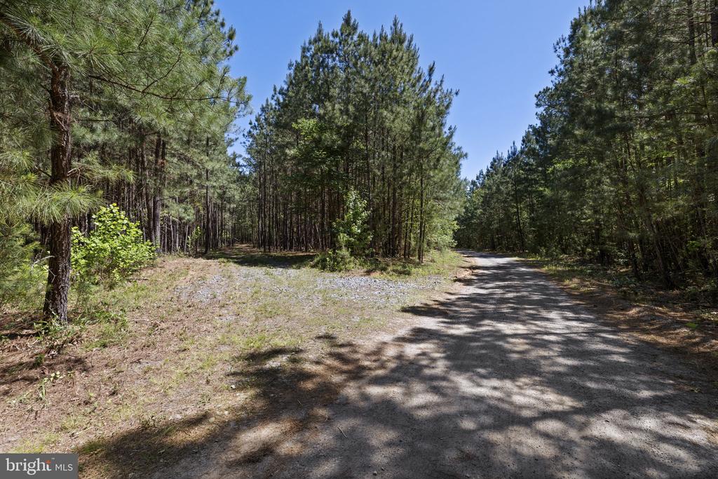 DEERWOOD LN, SPOTSYLVANIA, Virginia 22553, ,Farm,14,DEERWOOD LN,VASP2042656 MLS # VASP2042656 DEERWOOD LN, SPOTSYLVANIA, Virginia 22553, ,Farm,14,DEERWOOD LN,VASP2042656 MLS # VASP2042656
