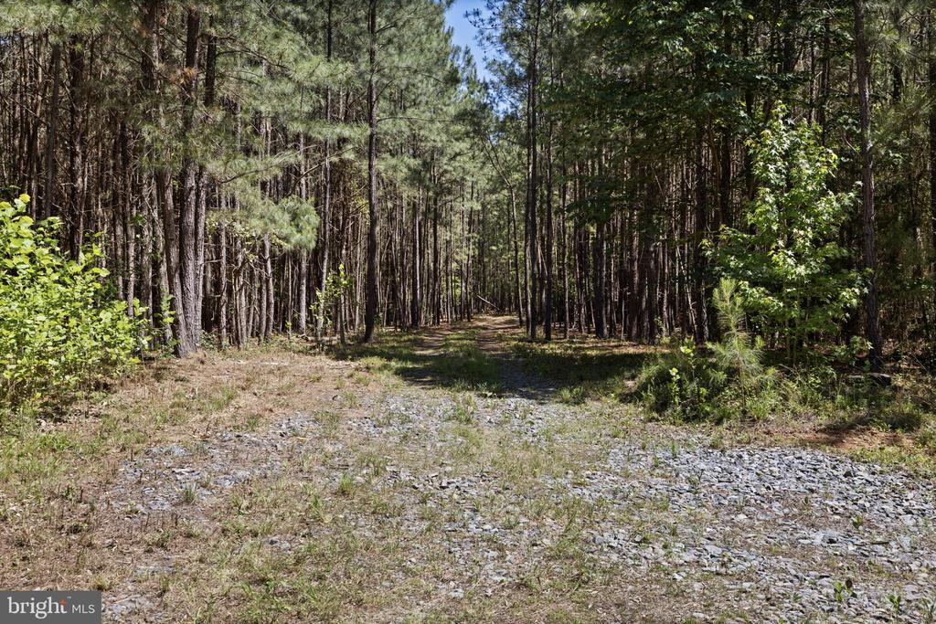DEERWOOD LN, SPOTSYLVANIA, Virginia 22553, ,Farm,14,DEERWOOD LN,VASP2042656 MLS # VASP2042656 DEERWOOD LN, SPOTSYLVANIA, Virginia 22553, ,Farm,14,DEERWOOD LN,VASP2042656 MLS # VASP2042656