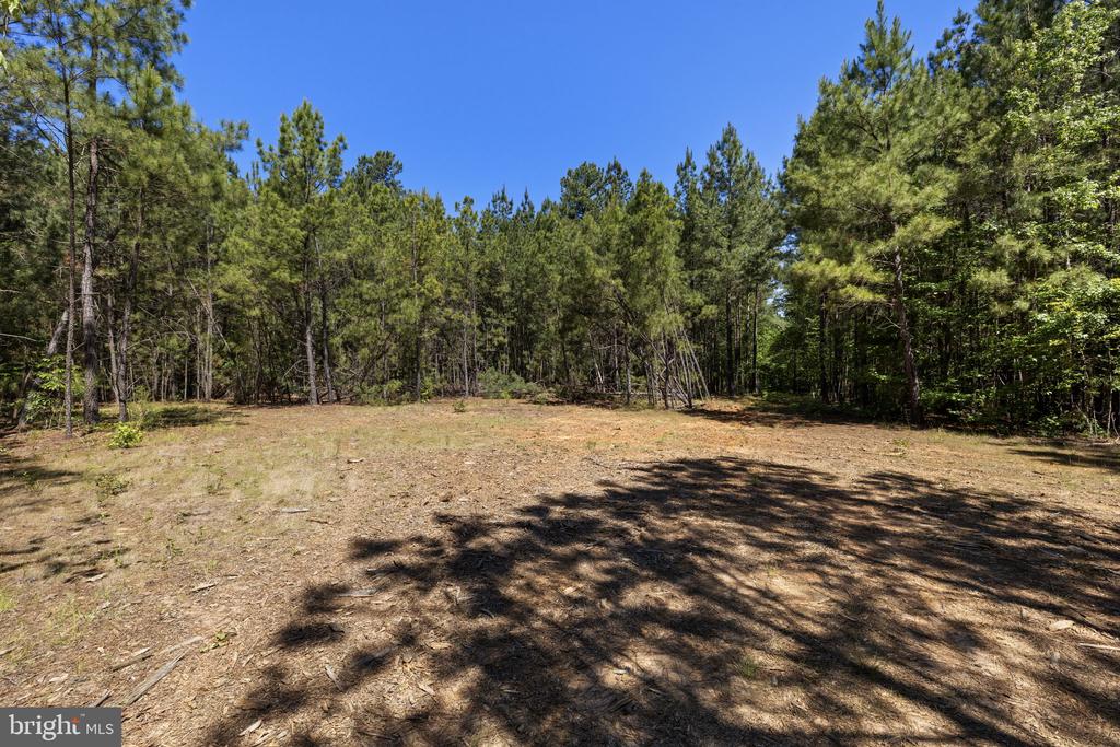 DEERWOOD LN, SPOTSYLVANIA, Virginia 22553, ,Farm,14,DEERWOOD LN,VASP2042656 MLS # VASP2042656 DEERWOOD LN, SPOTSYLVANIA, Virginia 22553, ,Farm,14,DEERWOOD LN,VASP2042656 MLS # VASP2042656