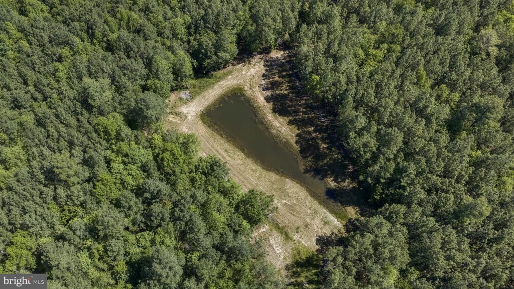 DEERWOOD LN, SPOTSYLVANIA, Virginia 22553, ,Farm,14,DEERWOOD LN,VASP2042656 MLS # VASP2042656 DEERWOOD LN, SPOTSYLVANIA, Virginia 22553, ,Farm,14,DEERWOOD LN,VASP2042656 MLS # VASP2042656