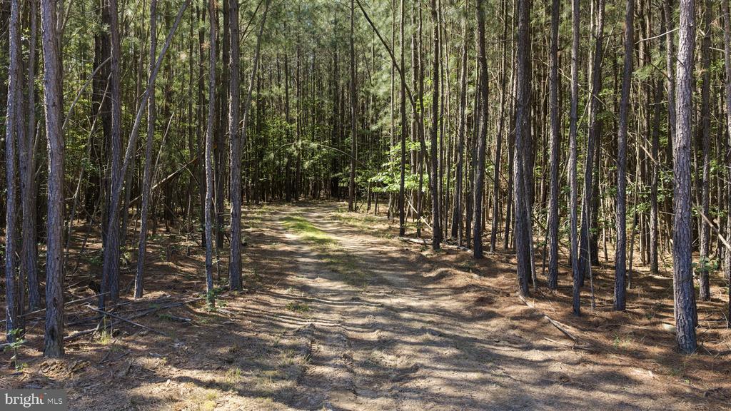 DEERWOOD LN, SPOTSYLVANIA, Virginia 22553, ,Farm,14,DEERWOOD LN,VASP2042656 MLS # VASP2042656 DEERWOOD LN, SPOTSYLVANIA, Virginia 22553, ,Farm,14,DEERWOOD LN,VASP2042656 MLS # VASP2042656