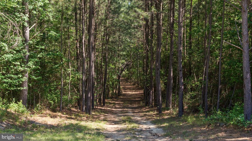 DEERWOOD LN, SPOTSYLVANIA, Virginia 22553, ,Farm,14,DEERWOOD LN,VASP2042656 MLS # VASP2042656 DEERWOOD LN, SPOTSYLVANIA, Virginia 22553, ,Farm,14,DEERWOOD LN,VASP2042656 MLS # VASP2042656