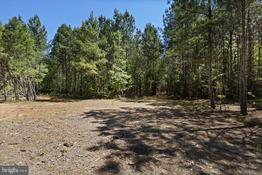 DEERWOOD LN, SPOTSYLVANIA, Virginia 22553, ,Farm,14,DEERWOOD LN,VASP2042656 MLS # VASP2042656 DEERWOOD LN, SPOTSYLVANIA, Virginia 22553, ,Farm,14,DEERWOOD LN,VASP2042656 MLS # VASP2042656