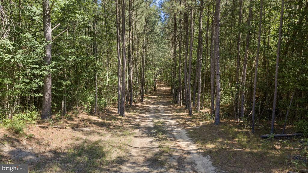 DEERWOOD LN, SPOTSYLVANIA, Virginia 22553, ,Farm,14,DEERWOOD LN,VASP2042656 MLS # VASP2042656 DEERWOOD LN, SPOTSYLVANIA, Virginia 22553, ,Farm,14,DEERWOOD LN,VASP2042656 MLS # VASP2042656
