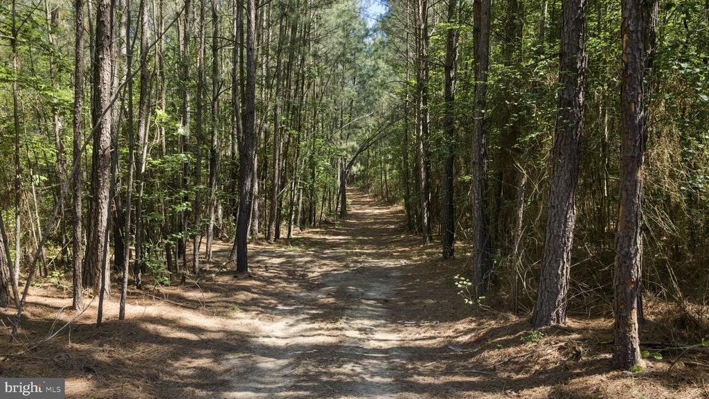 DEERWOOD LN, SPOTSYLVANIA, Virginia 22553, ,Farm,14,DEERWOOD LN,VASP2042656 MLS # VASP2042656 DEERWOOD LN, SPOTSYLVANIA, Virginia 22553, ,Farm,14,DEERWOOD LN,VASP2042656 MLS # VASP2042656