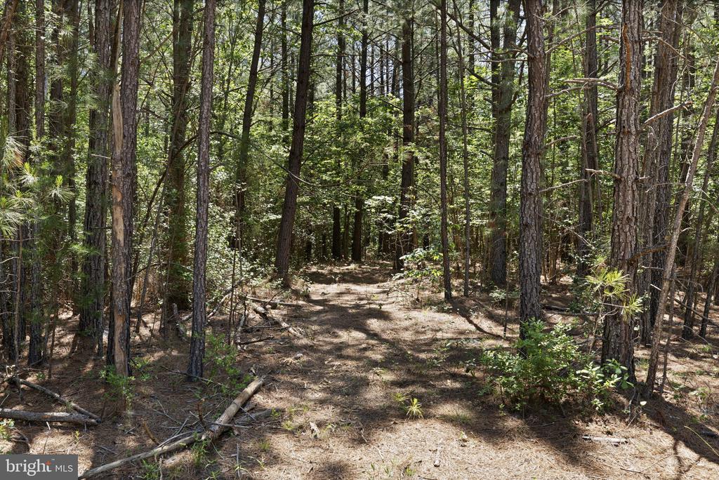 DEERWOOD LN, SPOTSYLVANIA, Virginia 22553, ,Farm,14,DEERWOOD LN,VASP2042656 MLS # VASP2042656 DEERWOOD LN, SPOTSYLVANIA, Virginia 22553, ,Farm,14,DEERWOOD LN,VASP2042656 MLS # VASP2042656