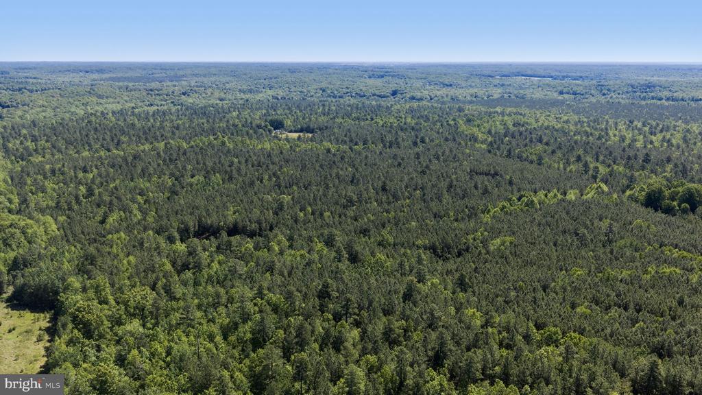 DEERWOOD LN, SPOTSYLVANIA, Virginia 22553, ,Farm,14,DEERWOOD LN,VASP2042656 MLS # VASP2042656 DEERWOOD LN, SPOTSYLVANIA, Virginia 22553, ,Farm,14,DEERWOOD LN,VASP2042656 MLS # VASP2042656