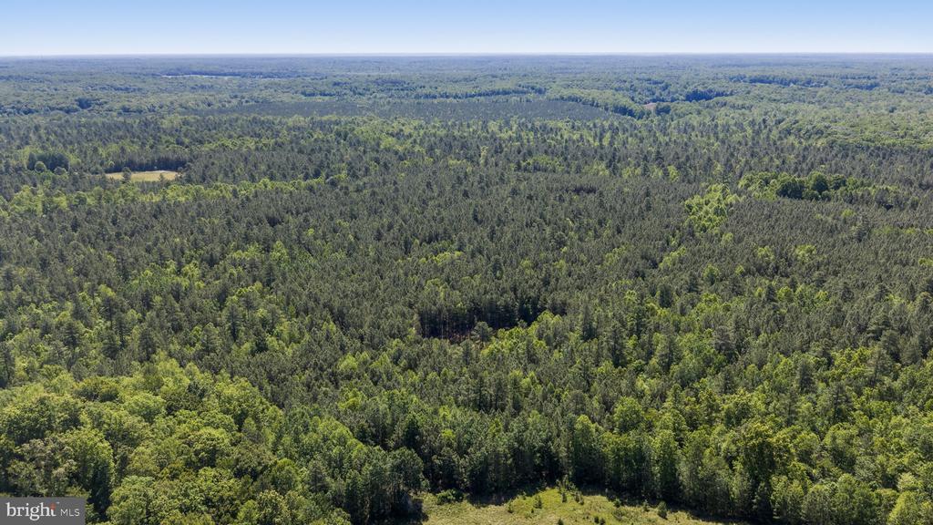 DEERWOOD LN, SPOTSYLVANIA, Virginia 22553, ,Farm,14,DEERWOOD LN,VASP2042656 MLS # VASP2042656 DEERWOOD LN, SPOTSYLVANIA, Virginia 22553, ,Farm,14,DEERWOOD LN,VASP2042656 MLS # VASP2042656