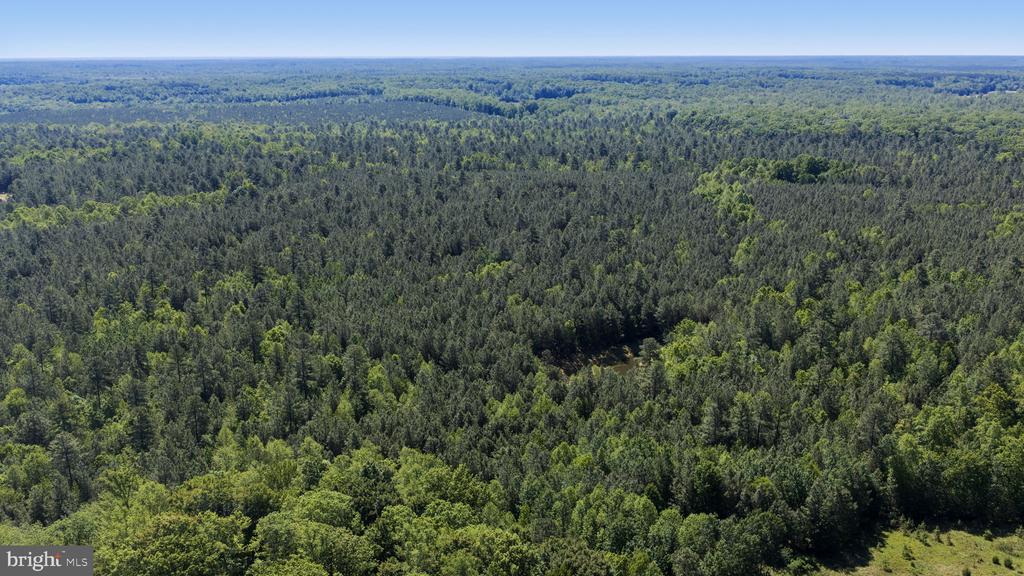DEERWOOD LN, SPOTSYLVANIA, Virginia 22553, ,Farm,14,DEERWOOD LN,VASP2042656 MLS # VASP2042656 DEERWOOD LN, SPOTSYLVANIA, Virginia 22553, ,Farm,14,DEERWOOD LN,VASP2042656 MLS # VASP2042656