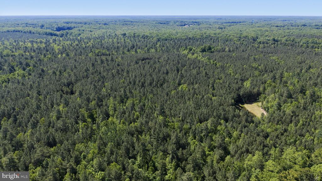DEERWOOD LN, SPOTSYLVANIA, Virginia 22553, ,Farm,14,DEERWOOD LN,VASP2042656 MLS # VASP2042656 DEERWOOD LN, SPOTSYLVANIA, Virginia 22553, ,Farm,14,DEERWOOD LN,VASP2042656 MLS # VASP2042656