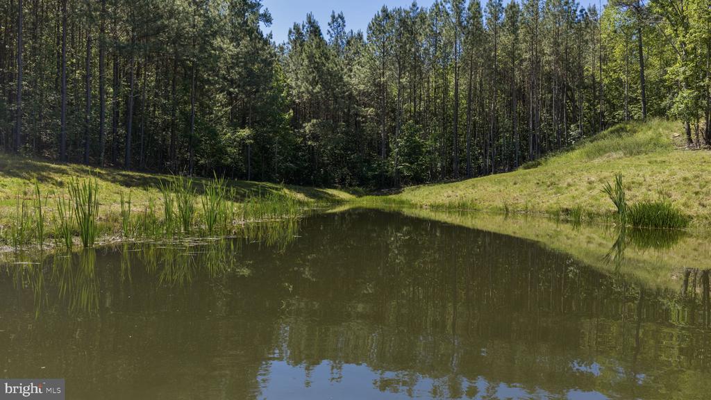 DEERWOOD LN, SPOTSYLVANIA, Virginia 22553, ,Farm,14,DEERWOOD LN,VASP2042656 MLS # VASP2042656 DEERWOOD LN, SPOTSYLVANIA, Virginia 22553, ,Farm,14,DEERWOOD LN,VASP2042656 MLS # VASP2042656