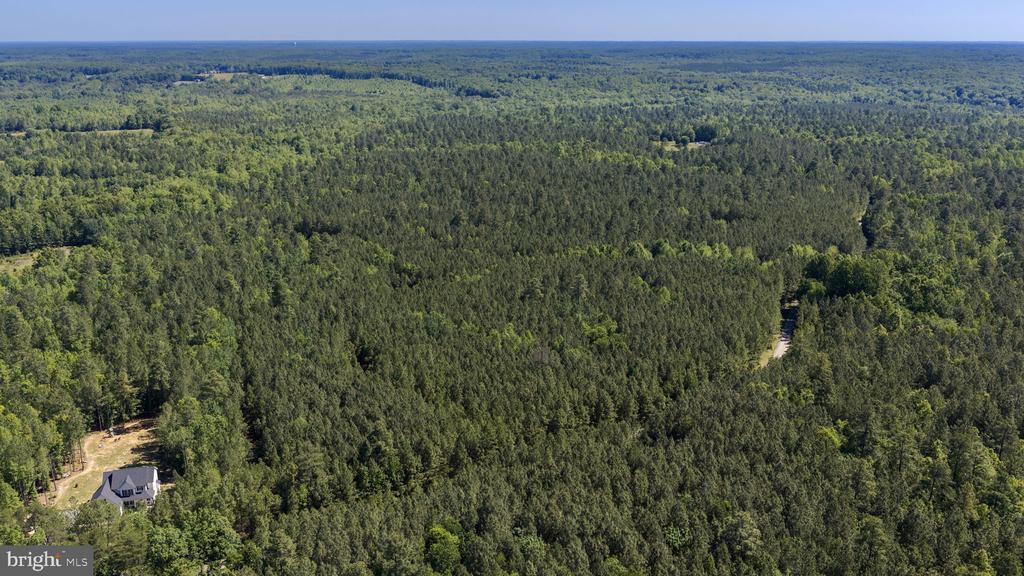 DEERWOOD LN, SPOTSYLVANIA, Virginia 22553, ,Farm,14,DEERWOOD LN,VASP2042656 MLS # VASP2042656 DEERWOOD LN, SPOTSYLVANIA, Virginia 22553, ,Farm,14,DEERWOOD LN,VASP2042656 MLS # VASP2042656