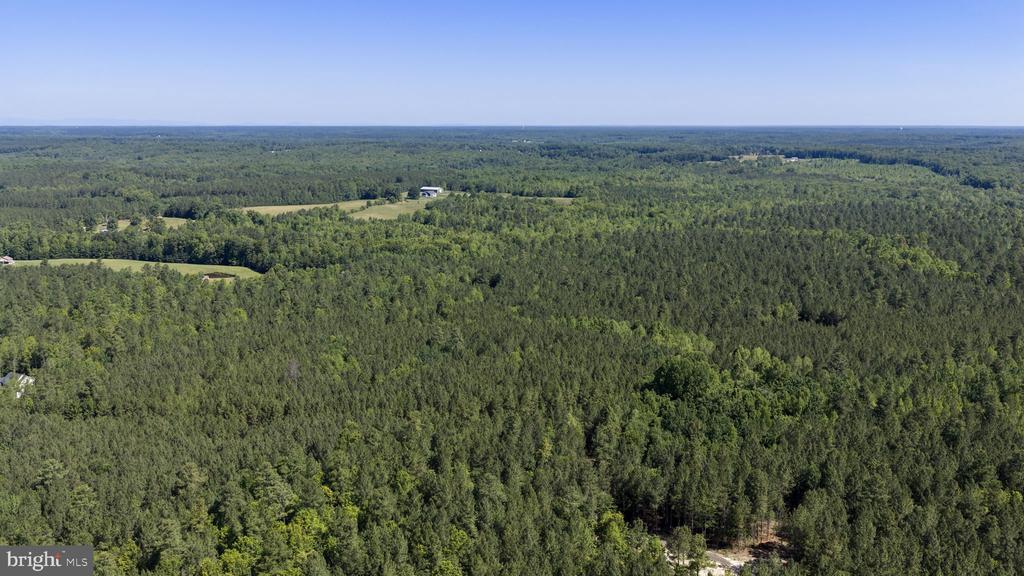 DEERWOOD LN, SPOTSYLVANIA, Virginia 22553, ,Farm,14,DEERWOOD LN,VASP2042656 MLS # VASP2042656 DEERWOOD LN, SPOTSYLVANIA, Virginia 22553, ,Farm,14,DEERWOOD LN,VASP2042656 MLS # VASP2042656