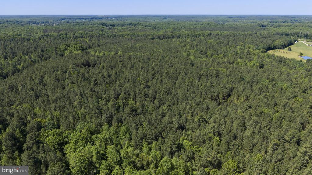 DEERWOOD LN, SPOTSYLVANIA, Virginia 22553, ,Farm,14,DEERWOOD LN,VASP2042656 MLS # VASP2042656 DEERWOOD LN, SPOTSYLVANIA, Virginia 22553, ,Farm,14,DEERWOOD LN,VASP2042656 MLS # VASP2042656