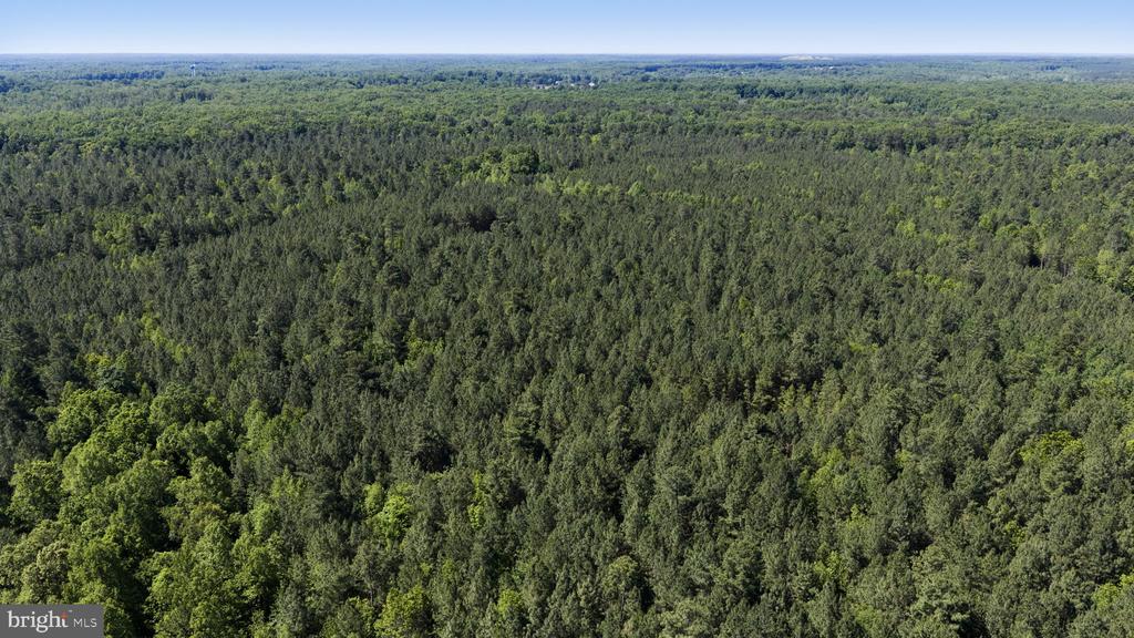 DEERWOOD LN, SPOTSYLVANIA, Virginia 22553, ,Farm,14,DEERWOOD LN,VASP2042656 MLS # VASP2042656 DEERWOOD LN, SPOTSYLVANIA, Virginia 22553, ,Farm,14,DEERWOOD LN,VASP2042656 MLS # VASP2042656