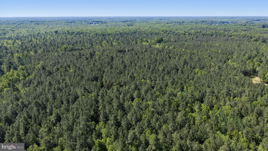 DEERWOOD LN, SPOTSYLVANIA, Virginia 22553, ,Farm,14,DEERWOOD LN,VASP2042656 MLS # VASP2042656 DEERWOOD LN, SPOTSYLVANIA, Virginia 22553, ,Farm,14,DEERWOOD LN,VASP2042656 MLS # VASP2042656