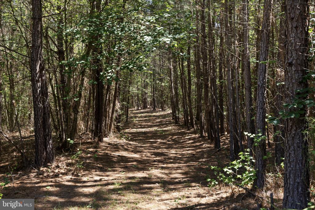 DEERWOOD LN, SPOTSYLVANIA, Virginia 22553, ,Farm,14,DEERWOOD LN,VASP2042656 MLS # VASP2042656 DEERWOOD LN, SPOTSYLVANIA, Virginia 22553, ,Farm,14,DEERWOOD LN,VASP2042656 MLS # VASP2042656