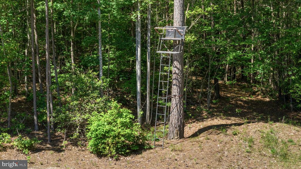DEERWOOD LN, SPOTSYLVANIA, Virginia 22553, ,Farm,14,DEERWOOD LN,VASP2042656 MLS # VASP2042656 DEERWOOD LN, SPOTSYLVANIA, Virginia 22553, ,Farm,14,DEERWOOD LN,VASP2042656 MLS # VASP2042656