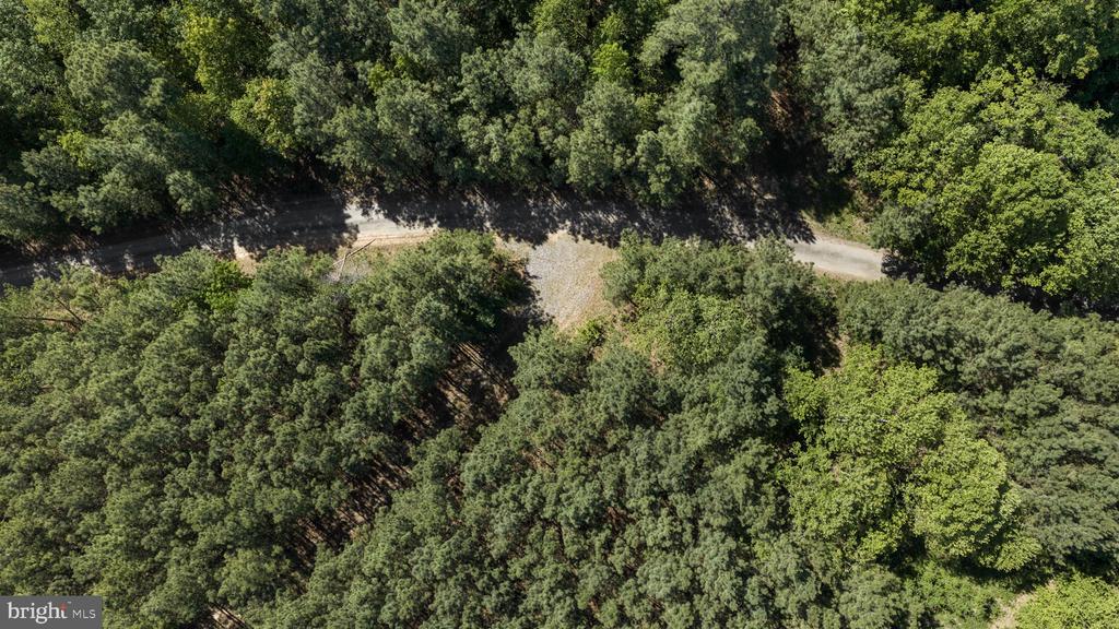 DEERWOOD LN, SPOTSYLVANIA, Virginia 22553, ,Farm,14,DEERWOOD LN,VASP2042656 MLS # VASP2042656 DEERWOOD LN, SPOTSYLVANIA, Virginia 22553, ,Farm,14,DEERWOOD LN,VASP2042656 MLS # VASP2042656