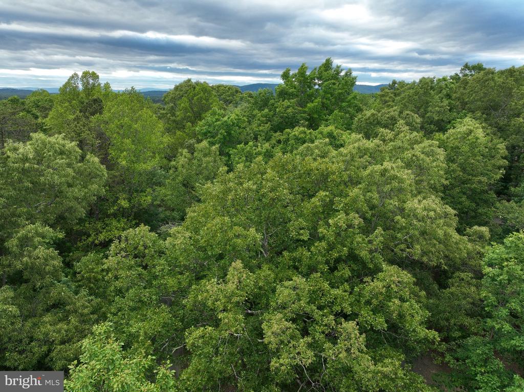 0 RIVANNA RDG, TROY, Virginia 22974, ,Land,14,0 RIVANNA RDG,VAAB2001246 MLS # VAAB2001246 0 RIVANNA RDG, TROY, Virginia 22974, ,Land,14,0 RIVANNA RDG,VAAB2001246 MLS # VAAB2001246