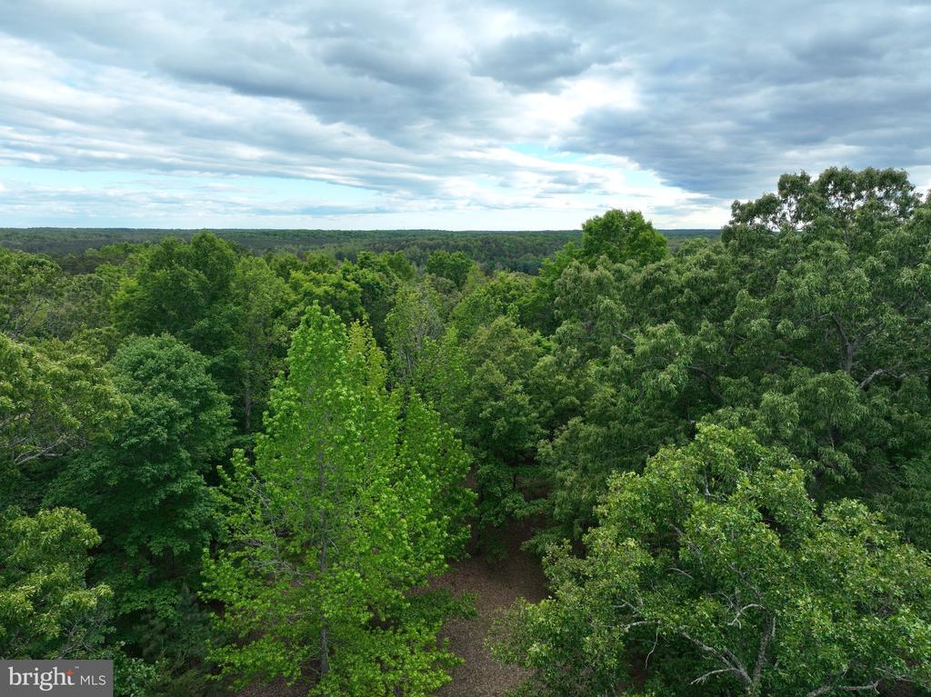 0 RIVANNA RDG, TROY, Virginia 22974, ,Land,14,0 RIVANNA RDG,VAAB2001246 MLS # VAAB2001246 0 RIVANNA RDG, TROY, Virginia 22974, ,Land,14,0 RIVANNA RDG,VAAB2001246 MLS # VAAB2001246