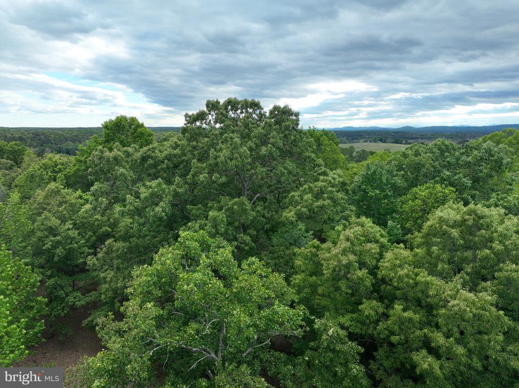 0 RIVANNA RDG, TROY, Virginia 22974, ,Land,14,0 RIVANNA RDG,VAAB2001246 MLS # VAAB2001246 0 RIVANNA RDG, TROY, Virginia 22974, ,Land,14,0 RIVANNA RDG,VAAB2001246 MLS # VAAB2001246