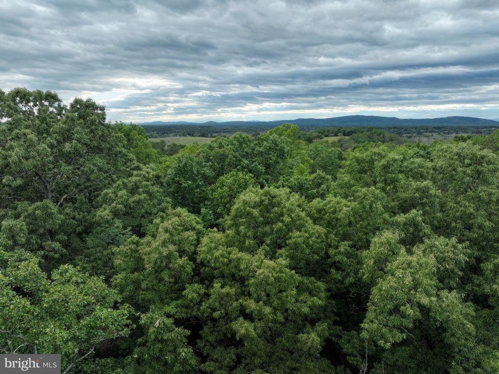 0 RIVANNA RDG, TROY, Virginia 22974, ,Land,14,0 RIVANNA RDG,VAAB2001246 MLS # VAAB2001246 0 RIVANNA RDG, TROY, Virginia 22974, ,Land,14,0 RIVANNA RDG,VAAB2001246 MLS # VAAB2001246