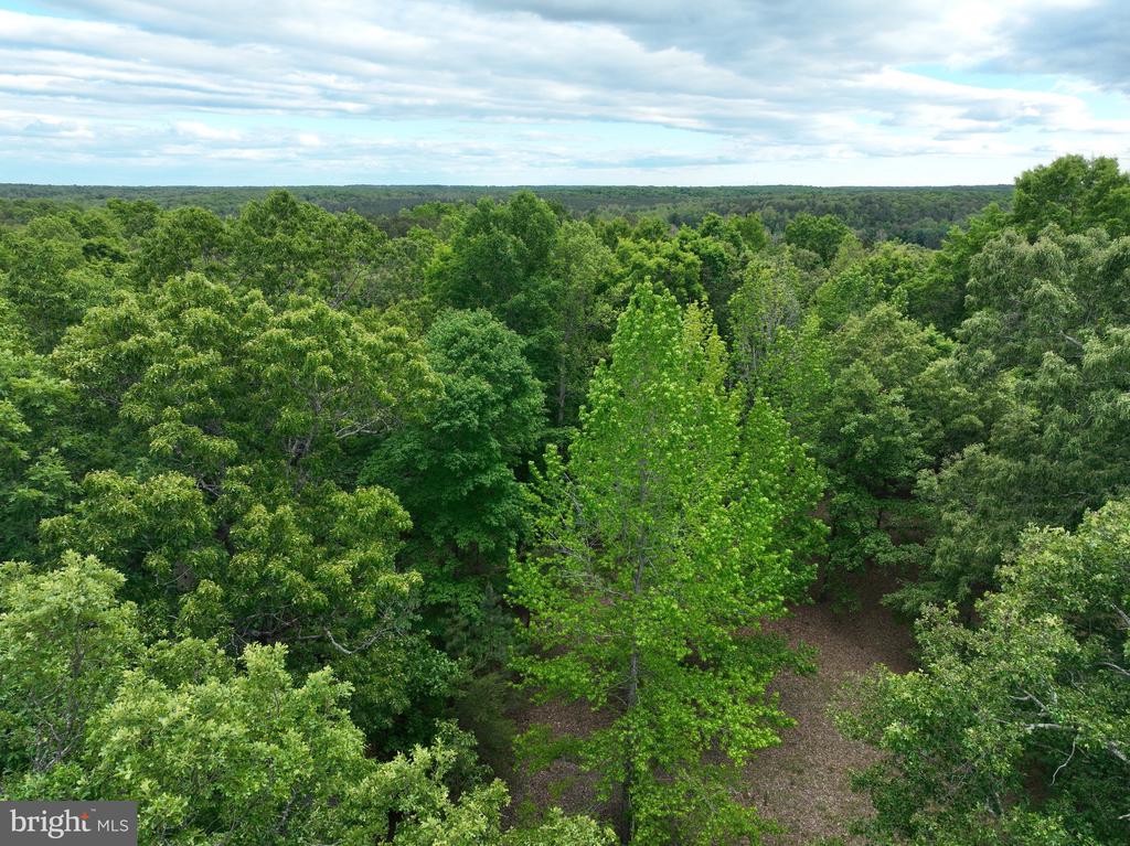 0 RIVANNA RDG, TROY, Virginia 22974, ,Land,14,0 RIVANNA RDG,VAAB2001246 MLS # VAAB2001246 0 RIVANNA RDG, TROY, Virginia 22974, ,Land,14,0 RIVANNA RDG,VAAB2001246 MLS # VAAB2001246