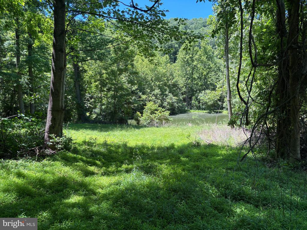 JORDAN HOLLOW RD, STANLEY, Virginia 22851, ,Farm,14,JORDAN HOLLOW RD,VAPA2006538 MLS # VAPA2006538 JORDAN HOLLOW RD, STANLEY, Virginia 22851, ,Farm,14,JORDAN HOLLOW RD,VAPA2006538 MLS # VAPA2006538